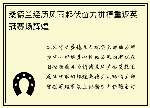 桑德兰经历风雨起伏奋力拼搏重返英冠赛场辉煌