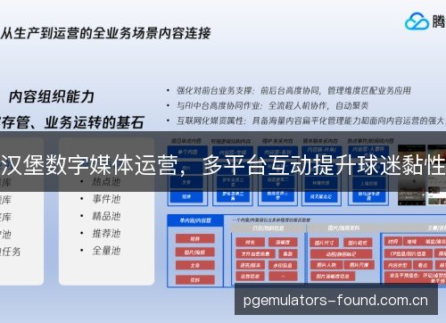 汉堡数字媒体运营，多平台互动提升球迷黏性