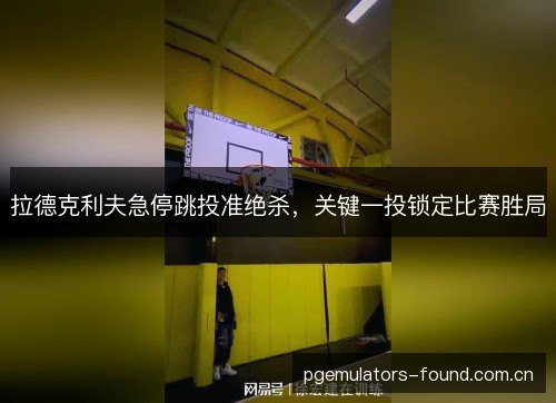拉德克利夫急停跳投准绝杀，关键一投锁定比赛胜局